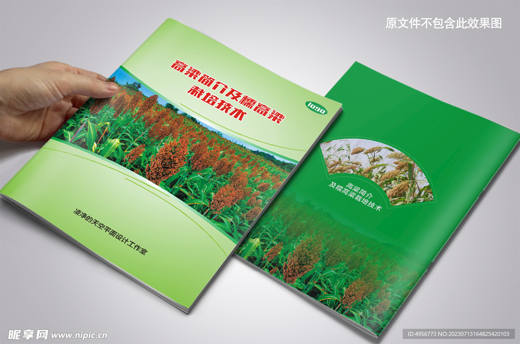 绿色糯高粱栽培技术封面