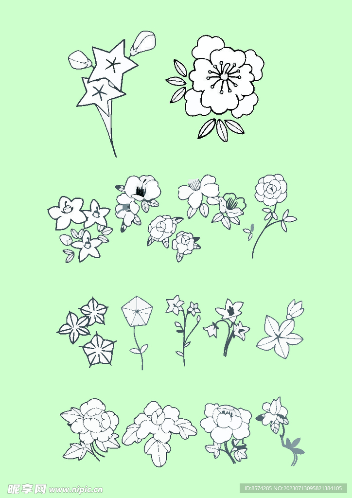 簡筆畫花卉