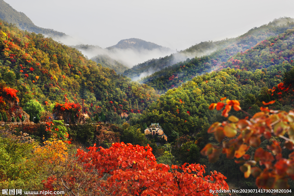 王屋紅葉