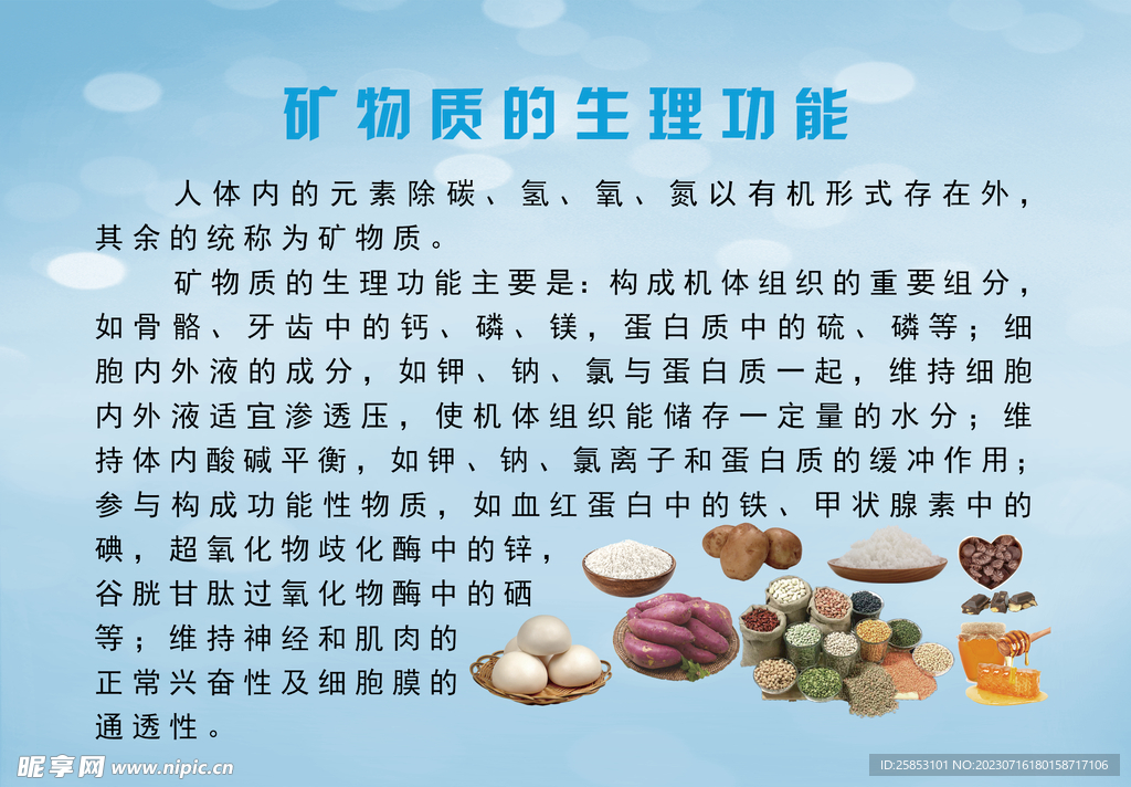礦物質的主要生理功能