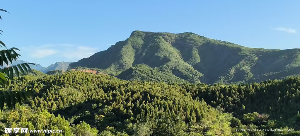 綠色的山峰