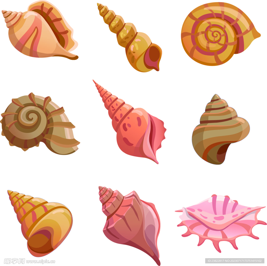 彩色海螺和贝壳设计矢量图图片