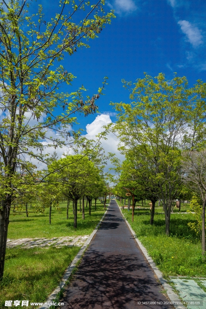 林間步道
