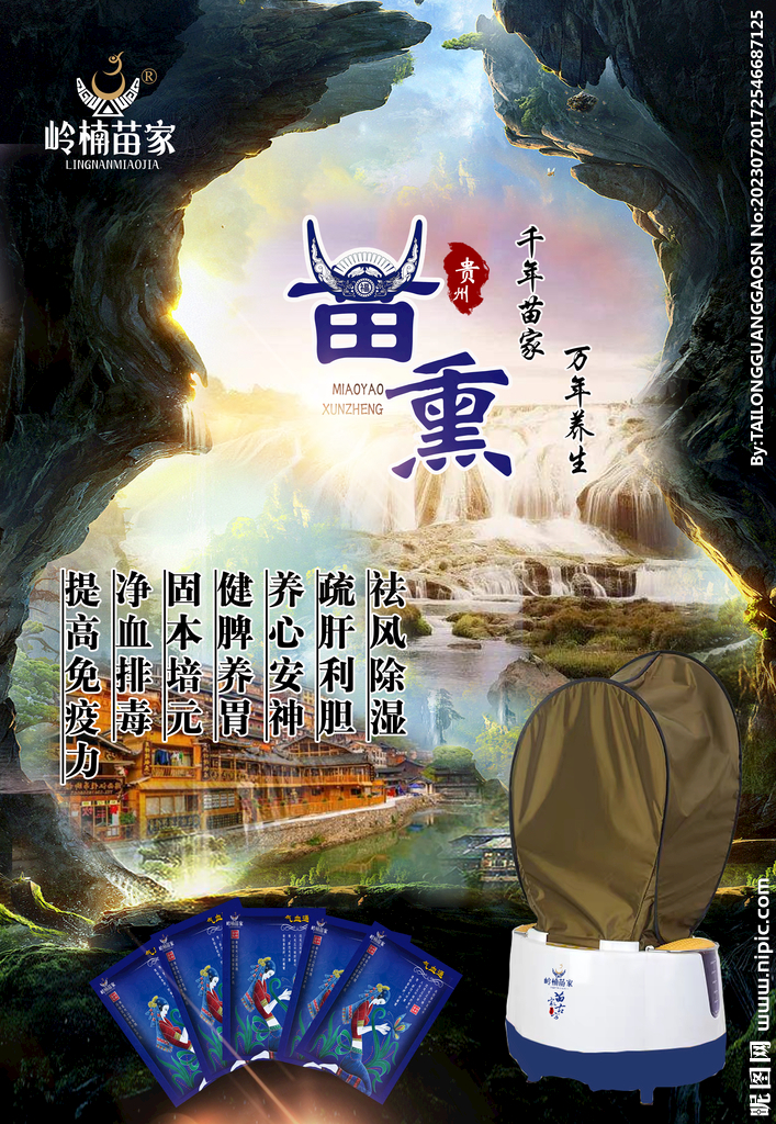 岭南苗家海报