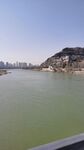 黃河