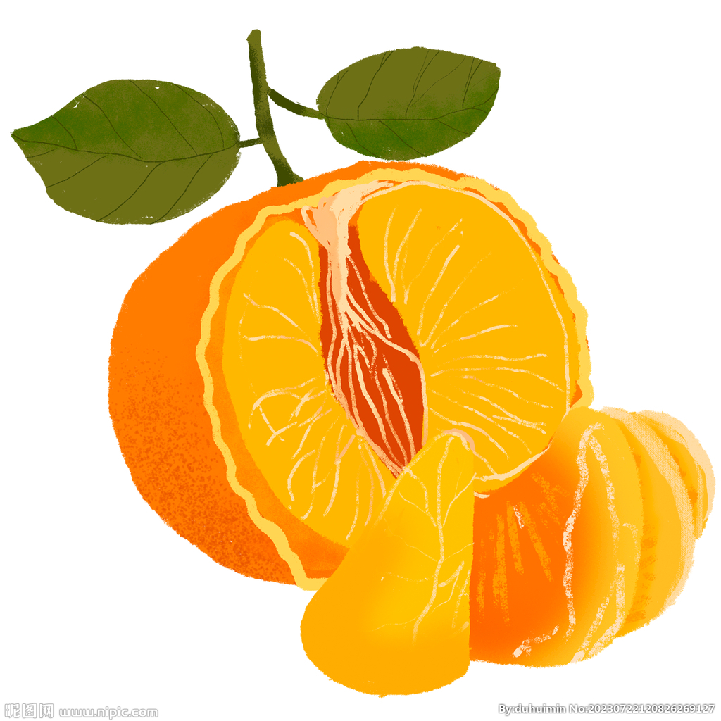 手绘橘子