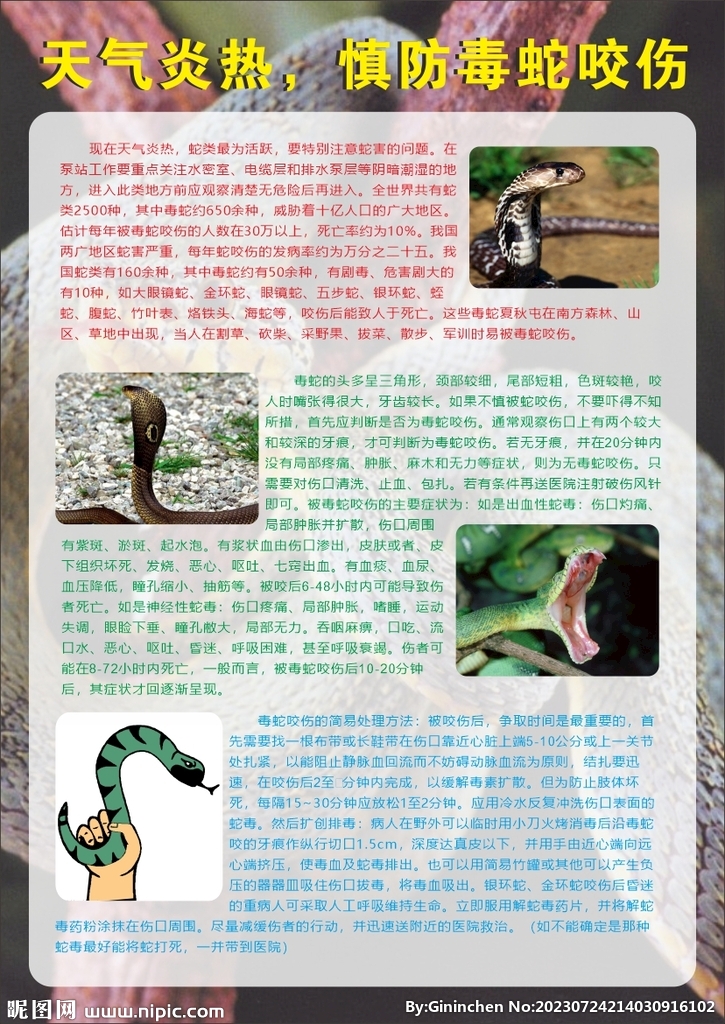 慎防毒蛇宣传页