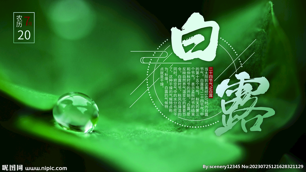 白露節氣海報