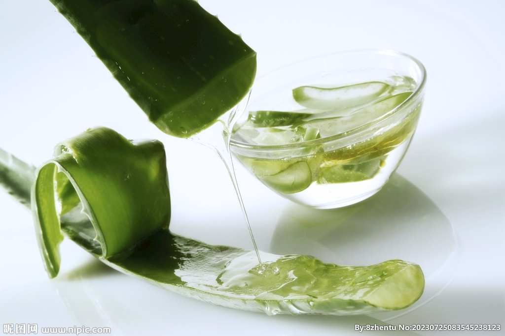 新鮮蘆薈