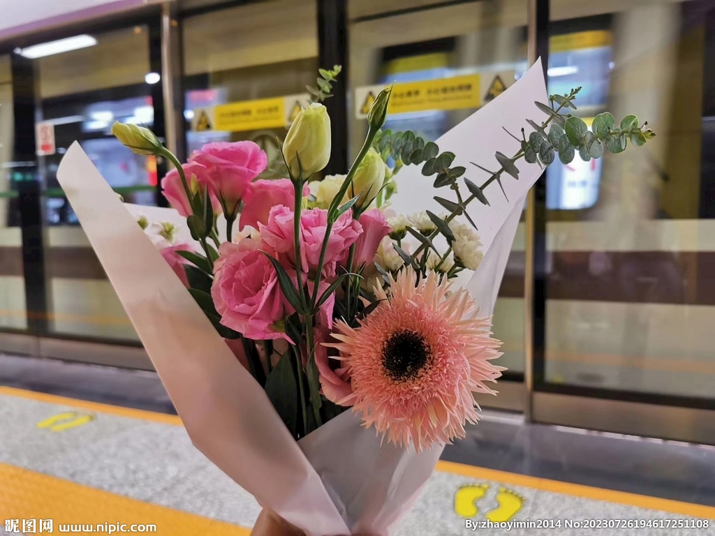 水培鮮花