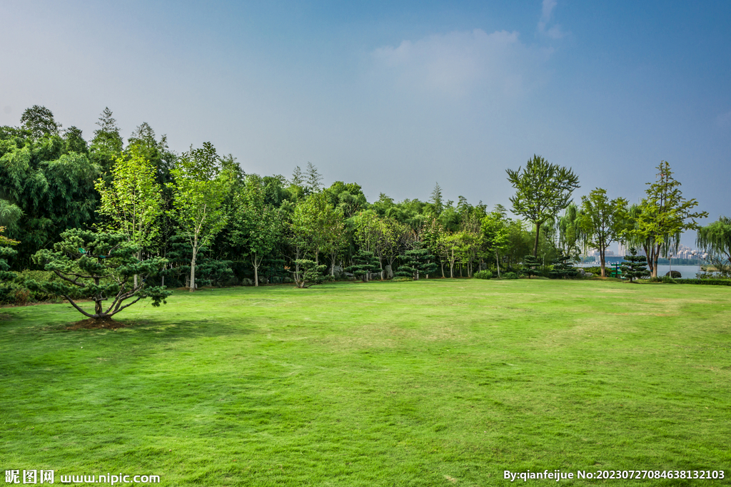 公園草坪