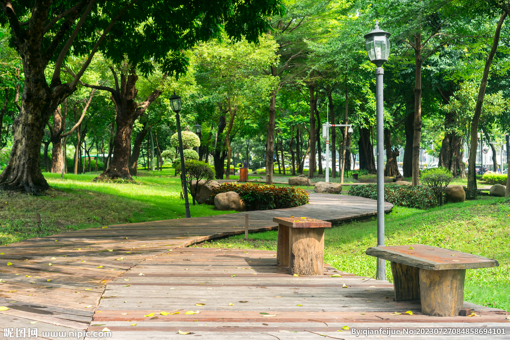 公園草坪