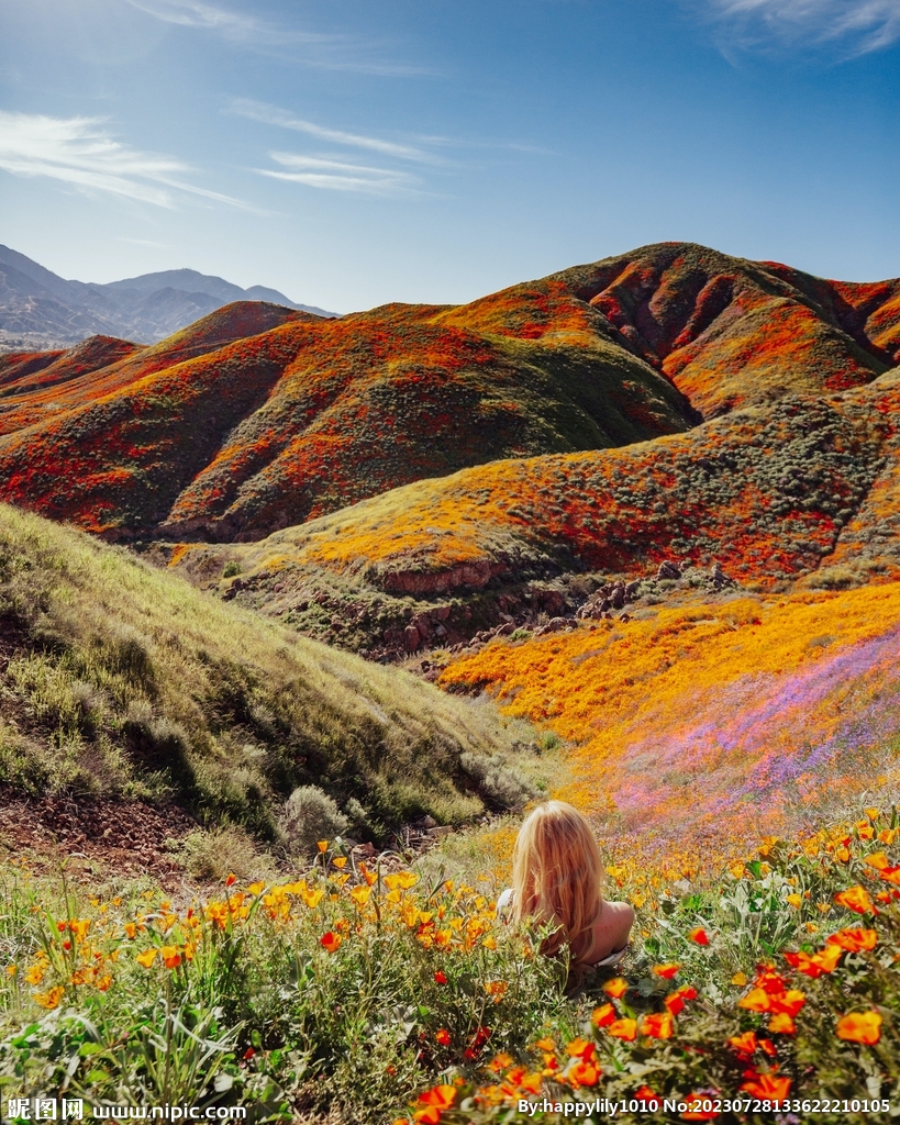 漫山遍野的花