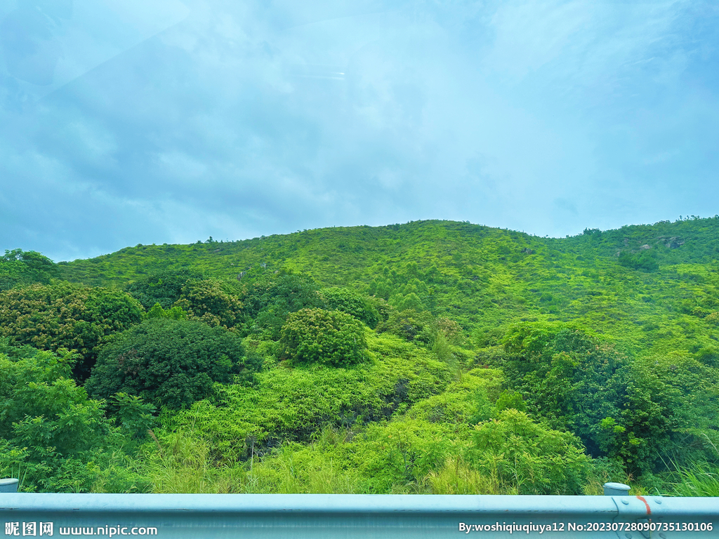 高山草地