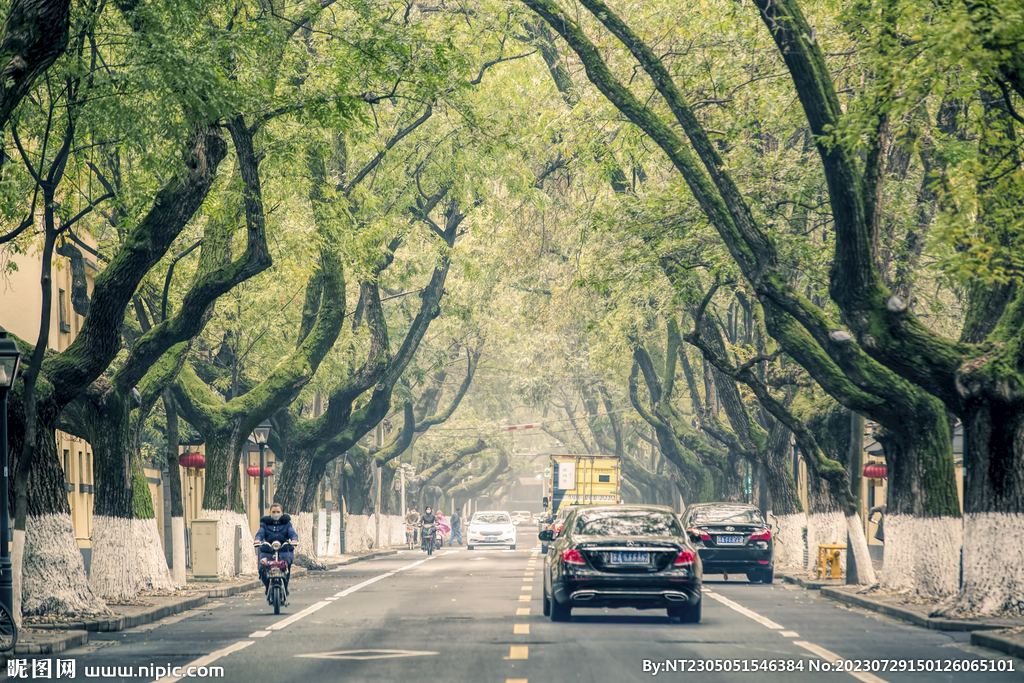 南京馬路