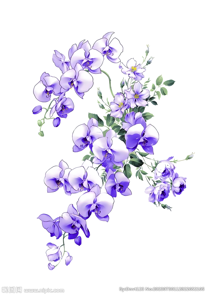 大牌花