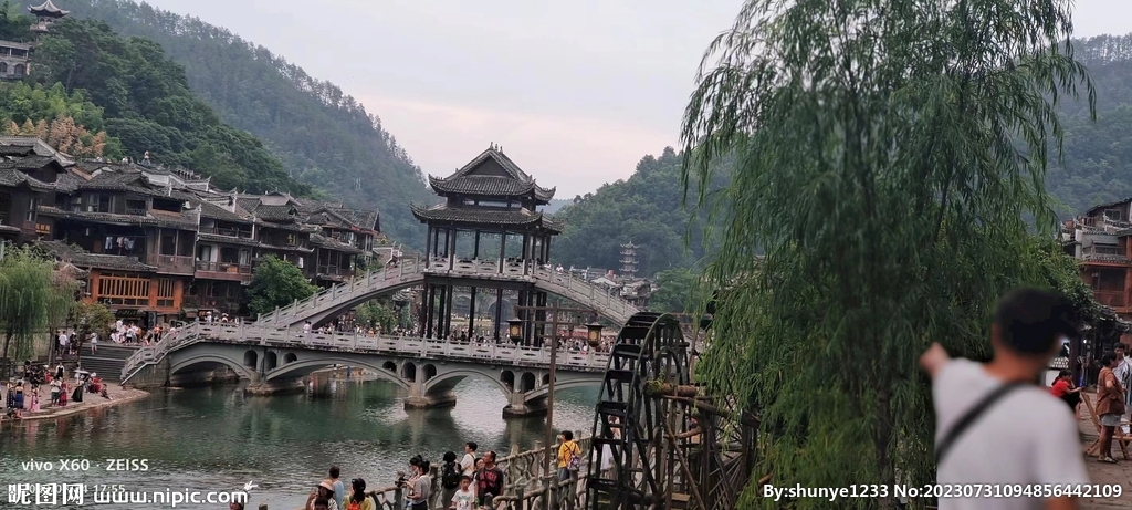 美麗鳳凰