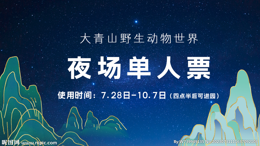 夜票