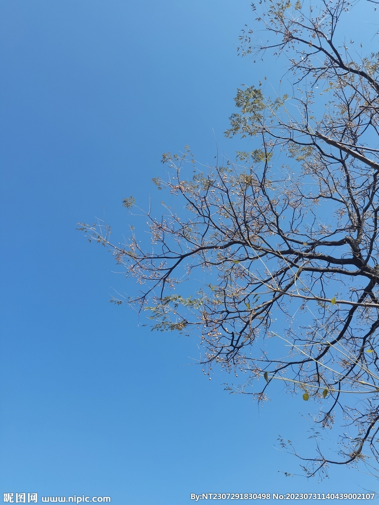 天空