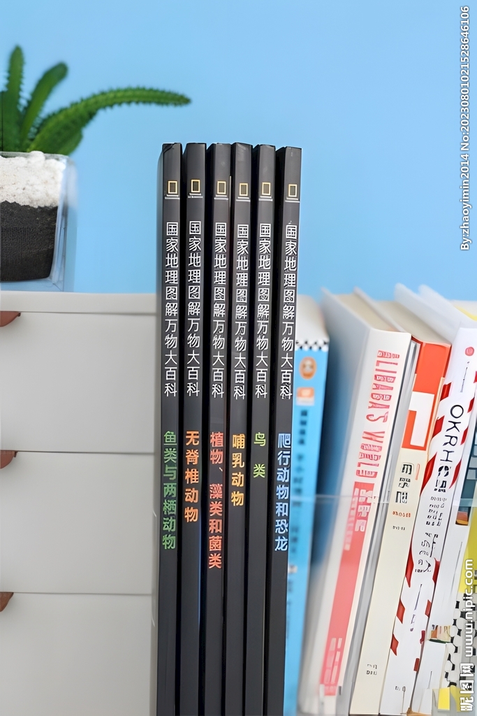 百科全書