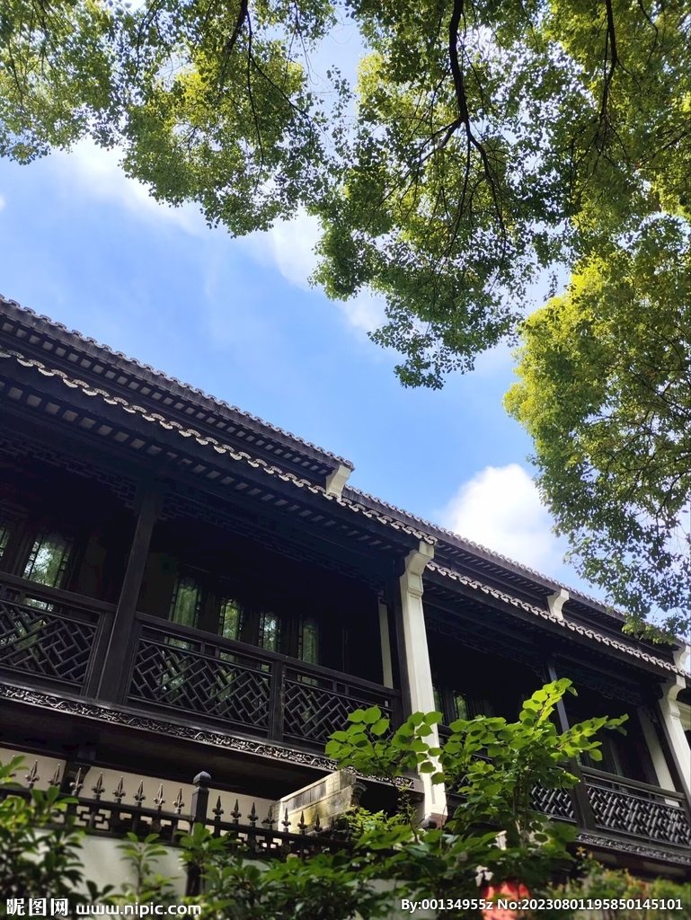 夏日微涼