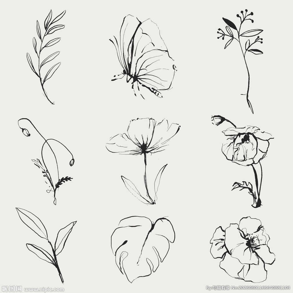 手绘素描花卉元素