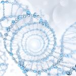 DNA螺旋结构