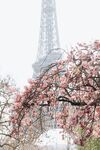 巴黎春天