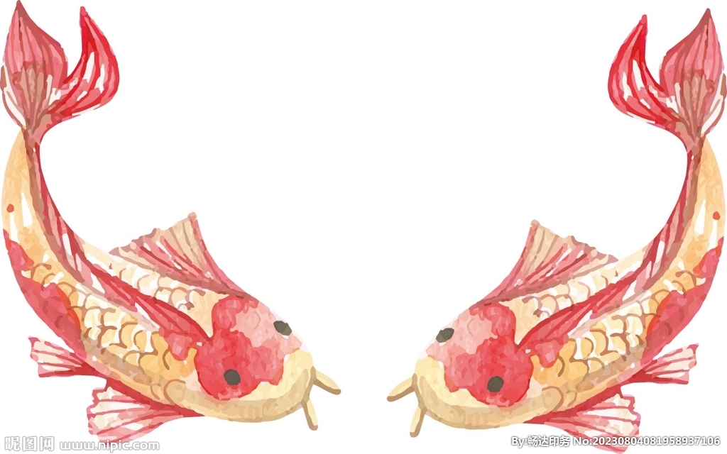 紅魚