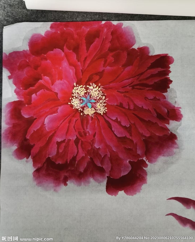 牡丹花   手繪花   國畫 