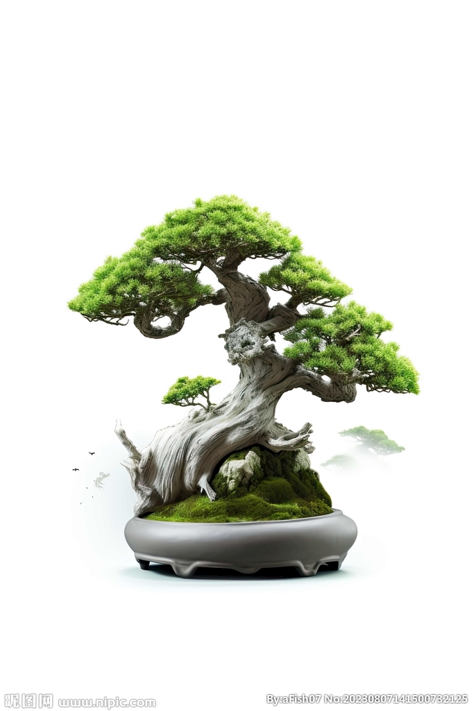 盆栽素材