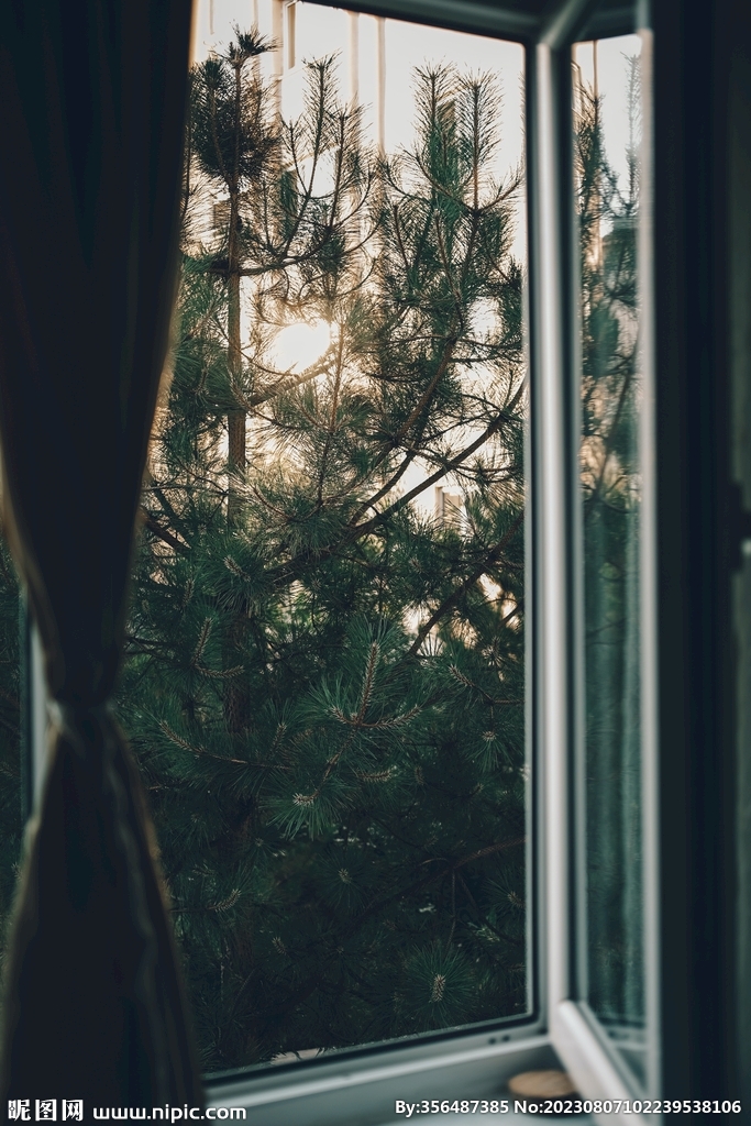 窗外風景 