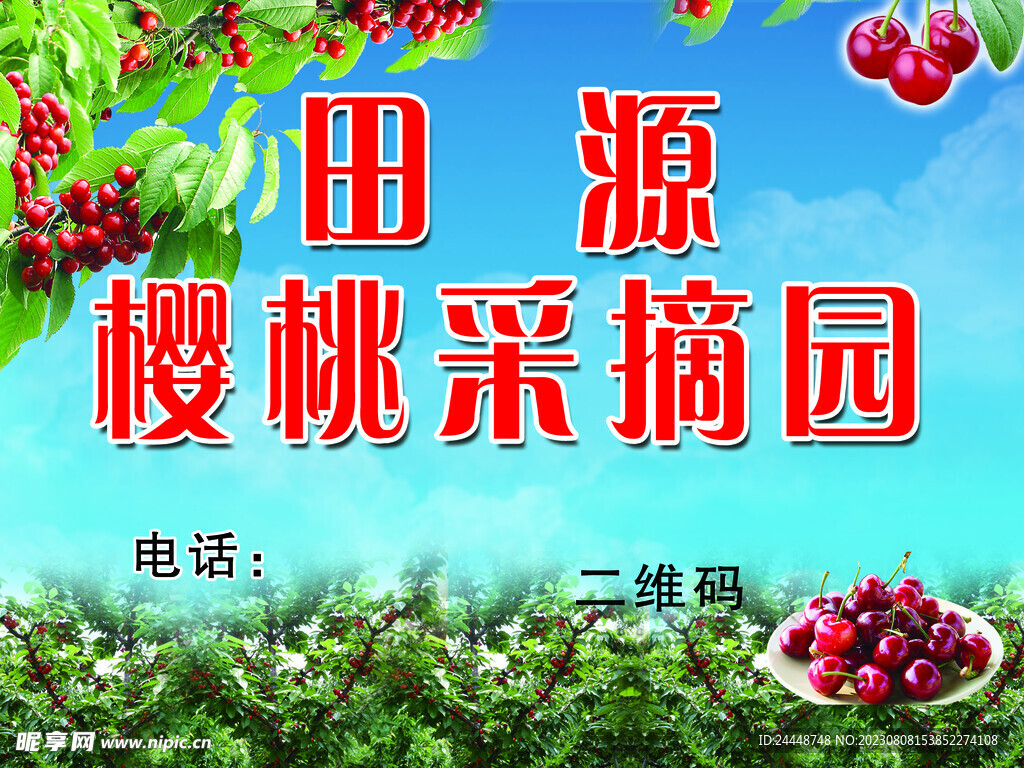 櫻桃采摘園