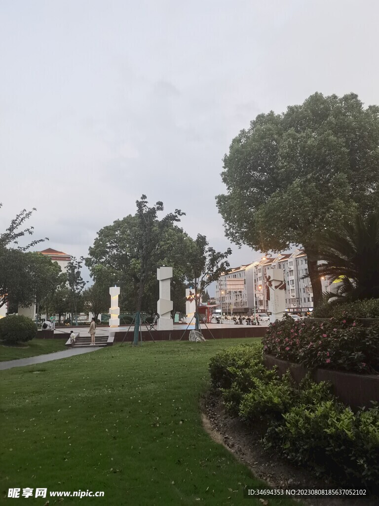 公園植物