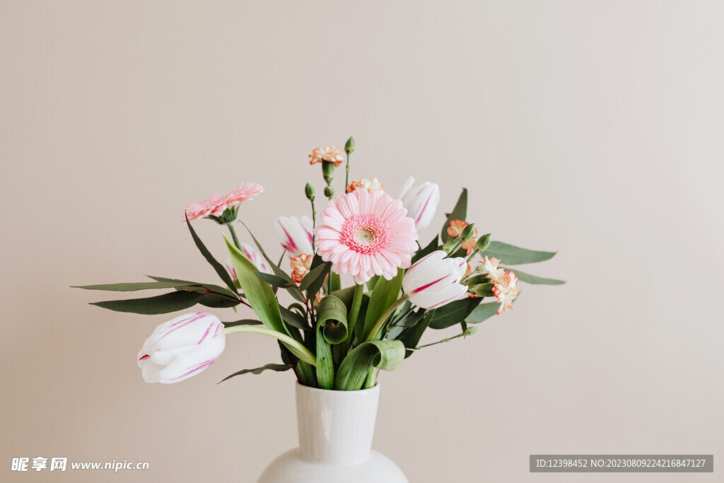 郁金香鮮花