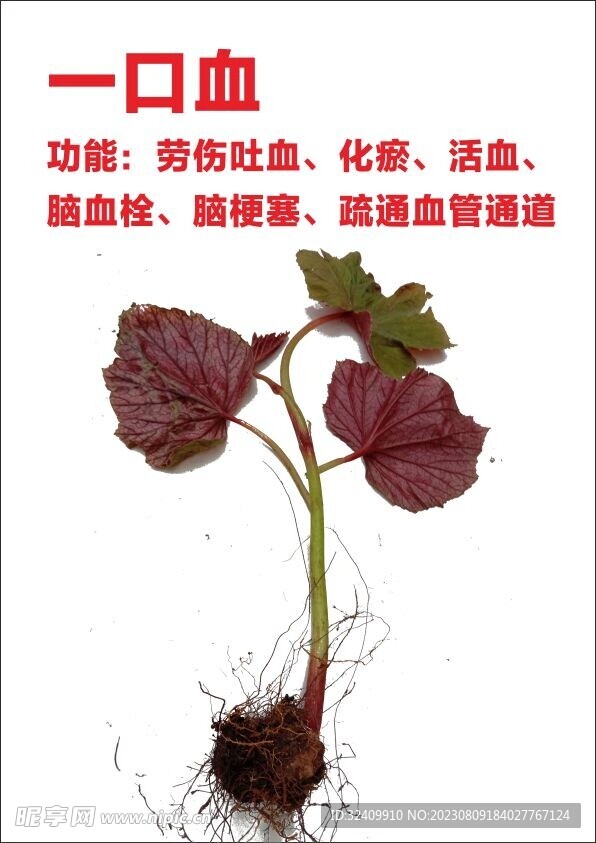 一口血藥