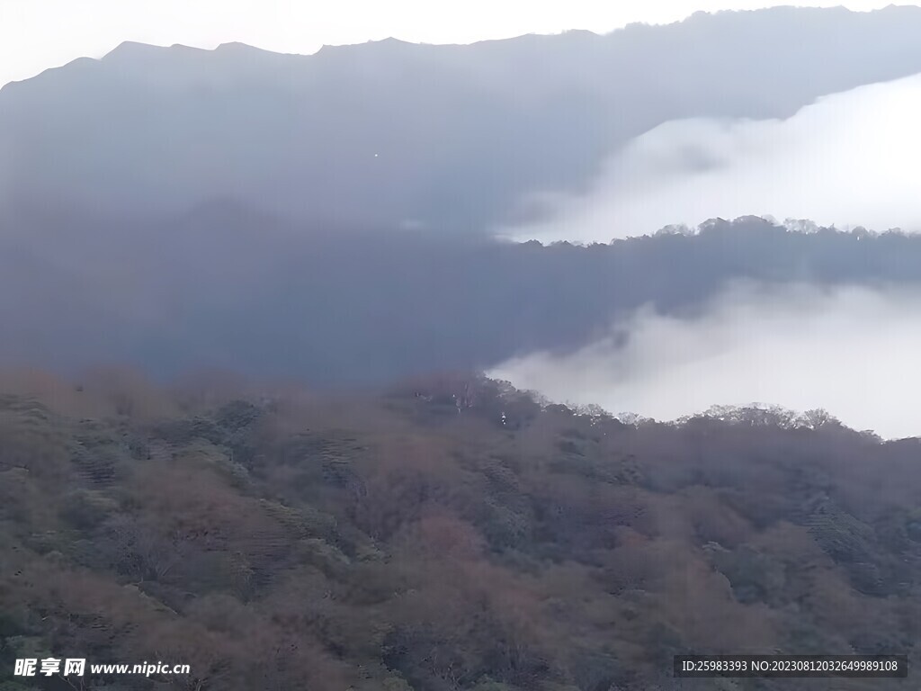山區云海