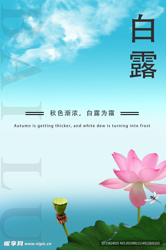 白露