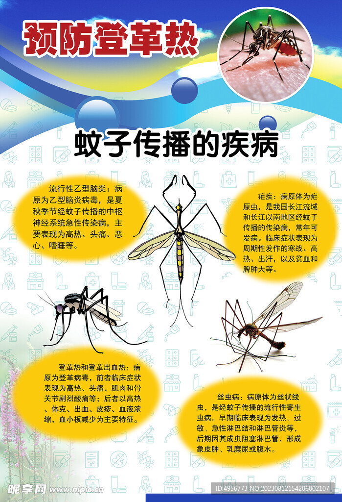 預防登革熱宣傳系列掛圖海報