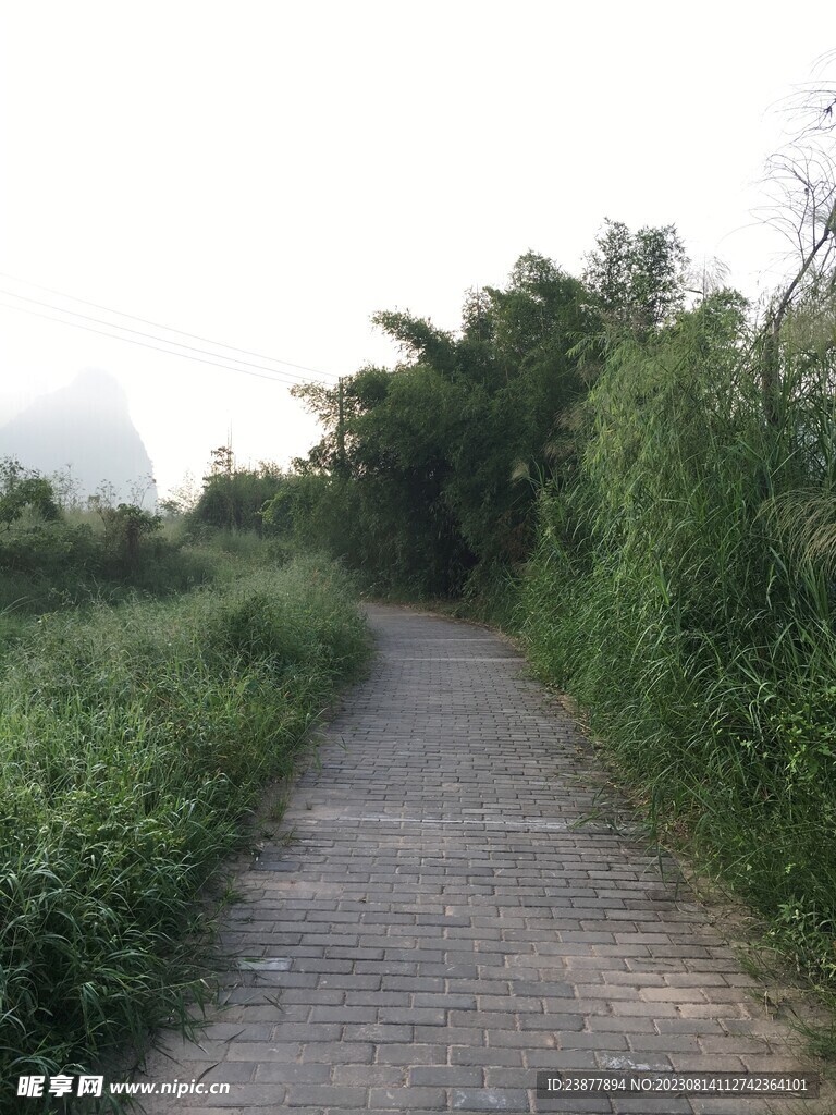 乡间小路