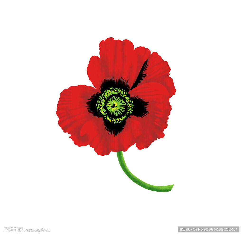 紅花