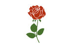 手绘红色玫瑰花矢量元素