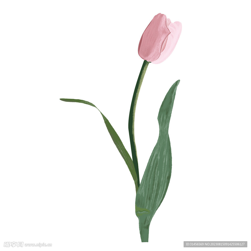 卡通鮮花