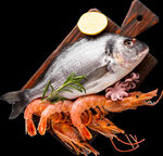 海鲜鱼虾