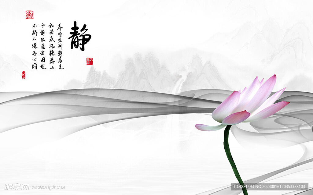 荷花背景
