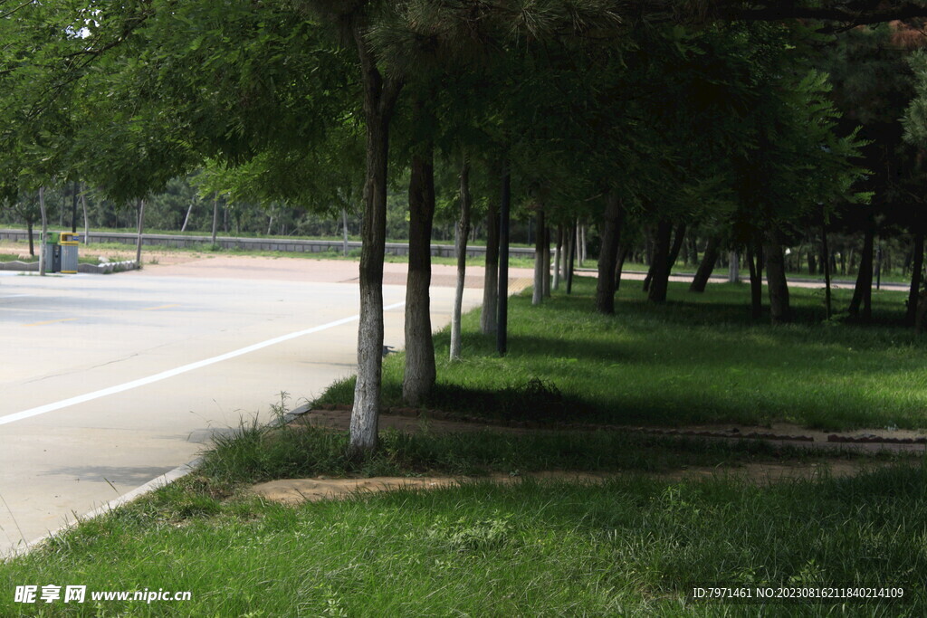 公園風景