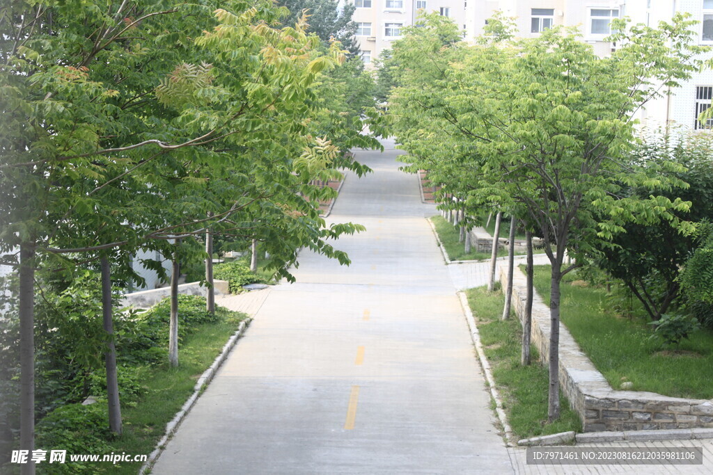 公園風景