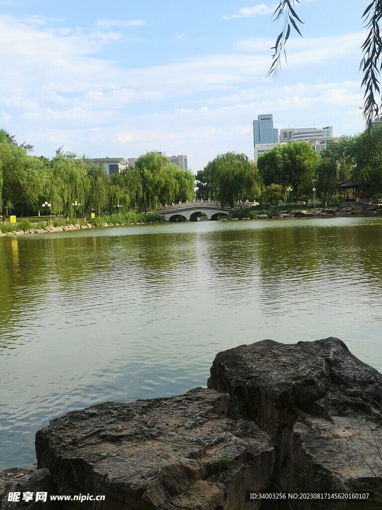 公園假山