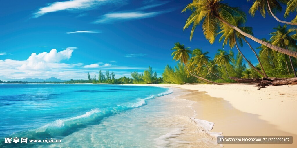 海灘風景  