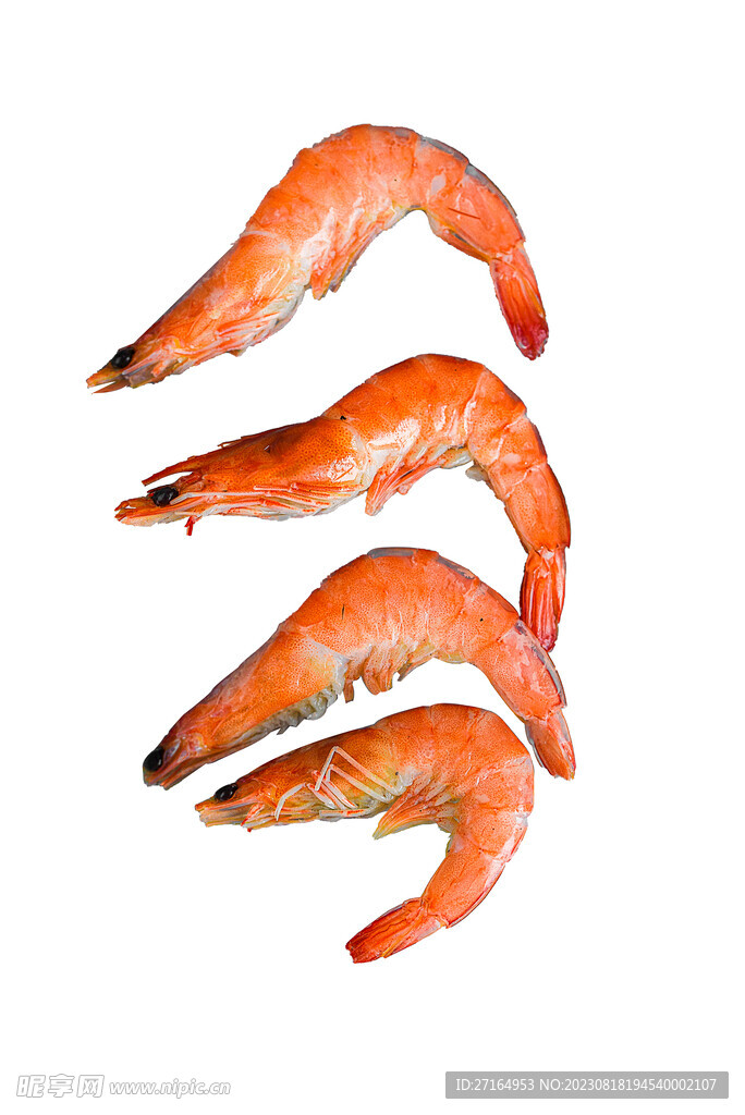 河蝦